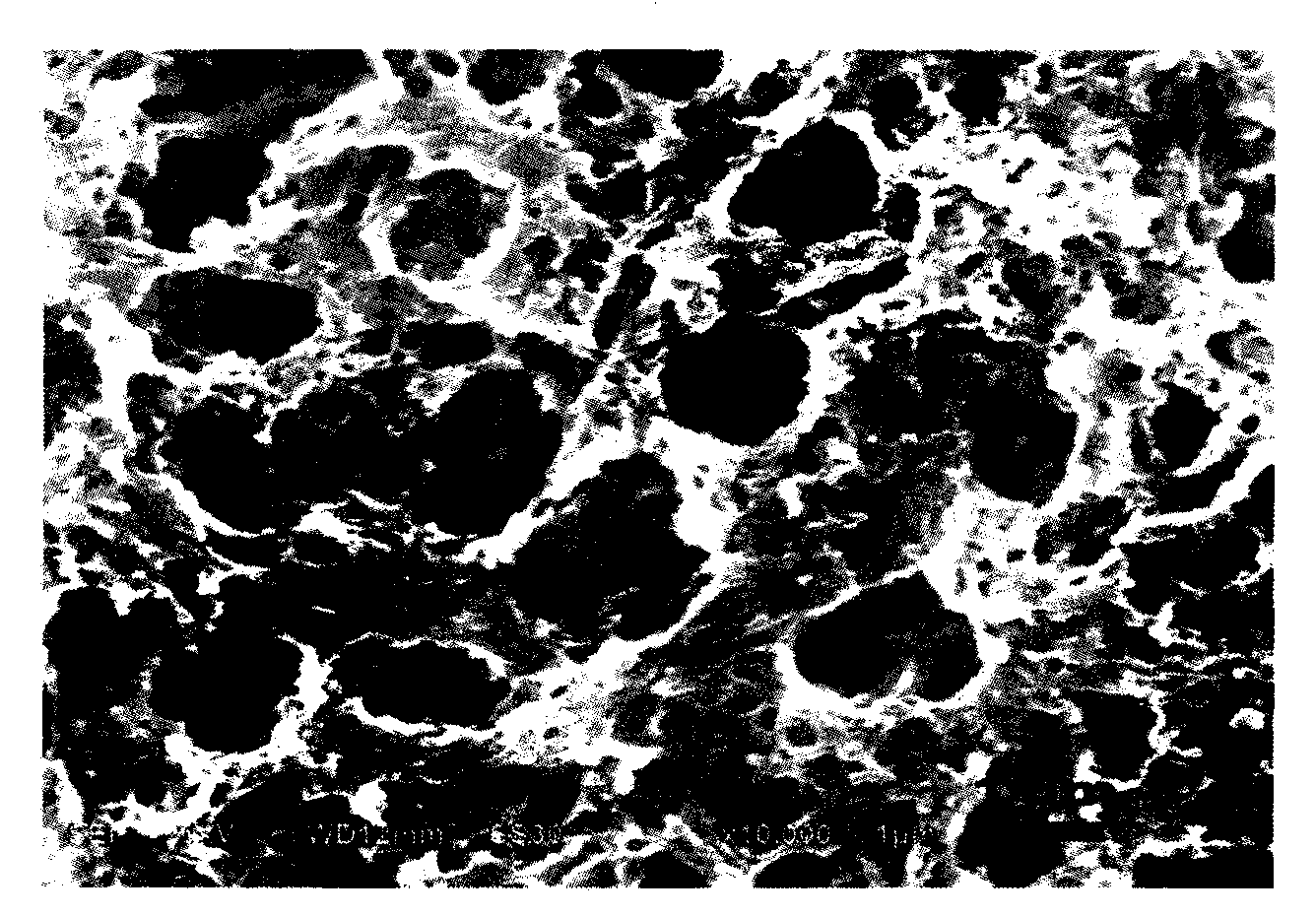 Method for preparing three-dimensional porous polymer electrolyte film