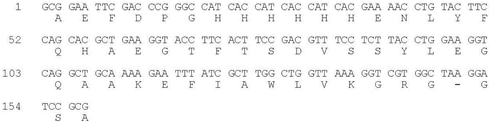 Method for preparation of GLP-1 polypeptide or analogue thereof through MFH fusion protein and application of GLP-1 polypeptide or analogue thereof