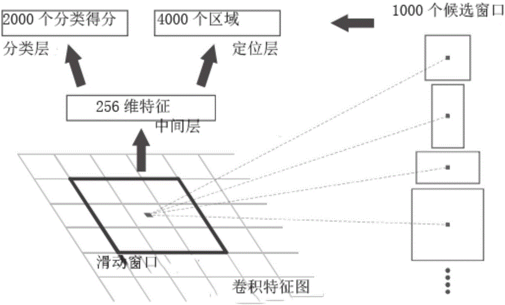 Objective positioning and classifying algorithm based on deep learning