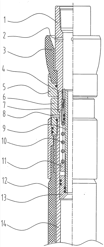 Wellhead pressure testing and seal examining device