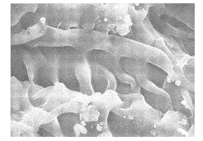 Three-element copolymerized hydrogel, preparation method thereof and application thereof in water treatment