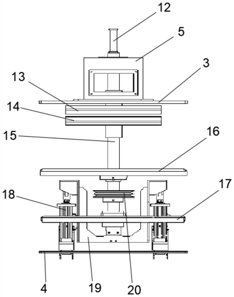 Shell stripping equipment self-adaptive to nut size