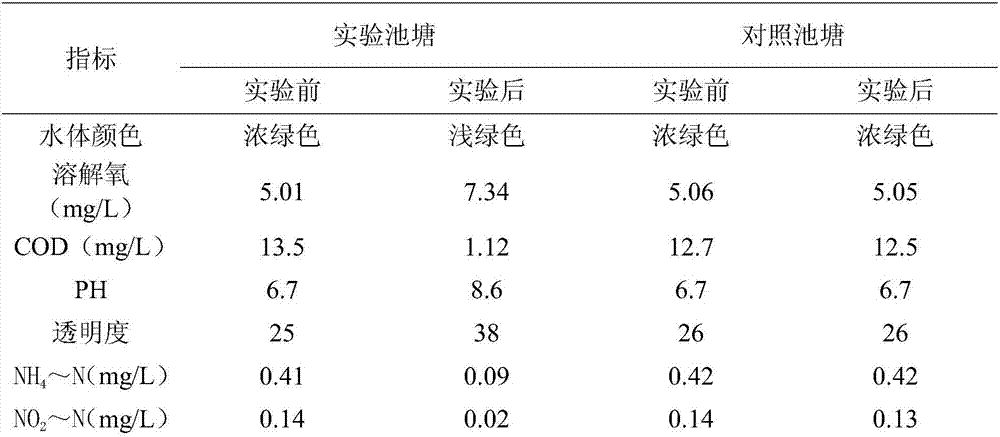 Water purification agent for aquaculture ponds and preparation method of water purification agent