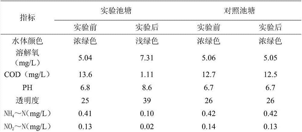 Water purification agent for aquaculture ponds and preparation method of water purification agent