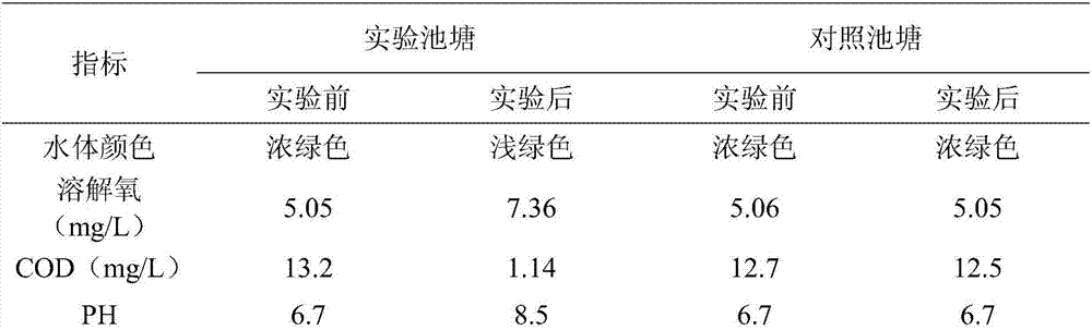 Water purification agent for aquaculture ponds and preparation method of water purification agent