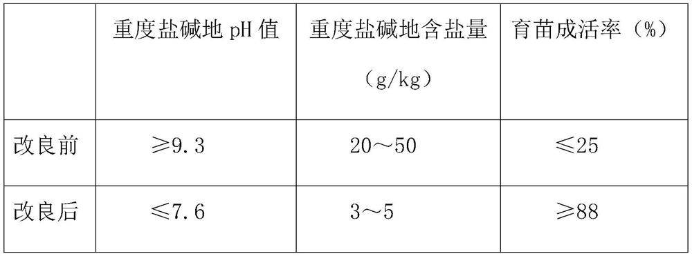 Method for rapidly recovering rice seedlings in severe saline-alkali soil to improve seedling survival rate