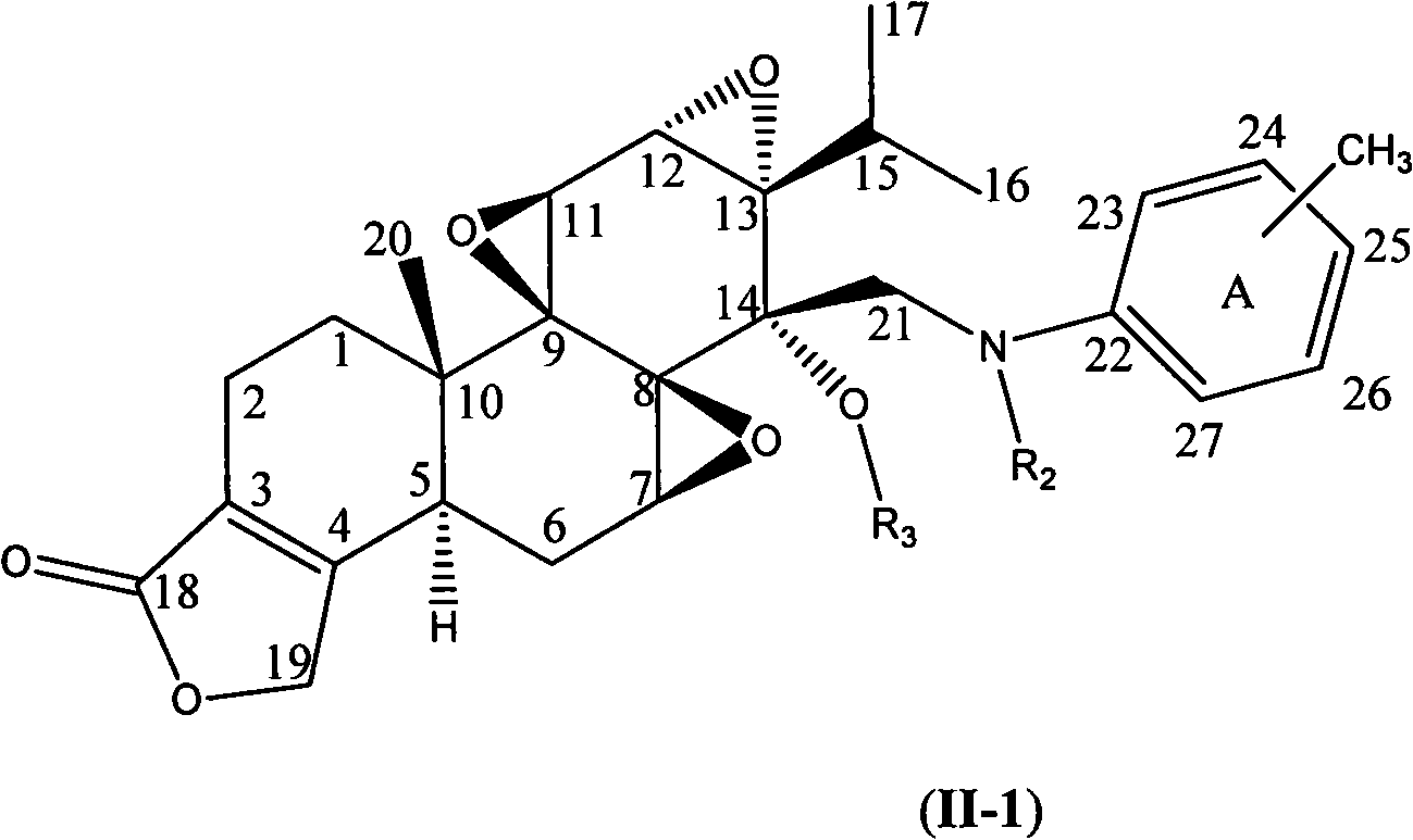 N-substituted methyl phenyl-14 beta -(aminomethyl) triptodiolide derivative and preparation method and application thereof