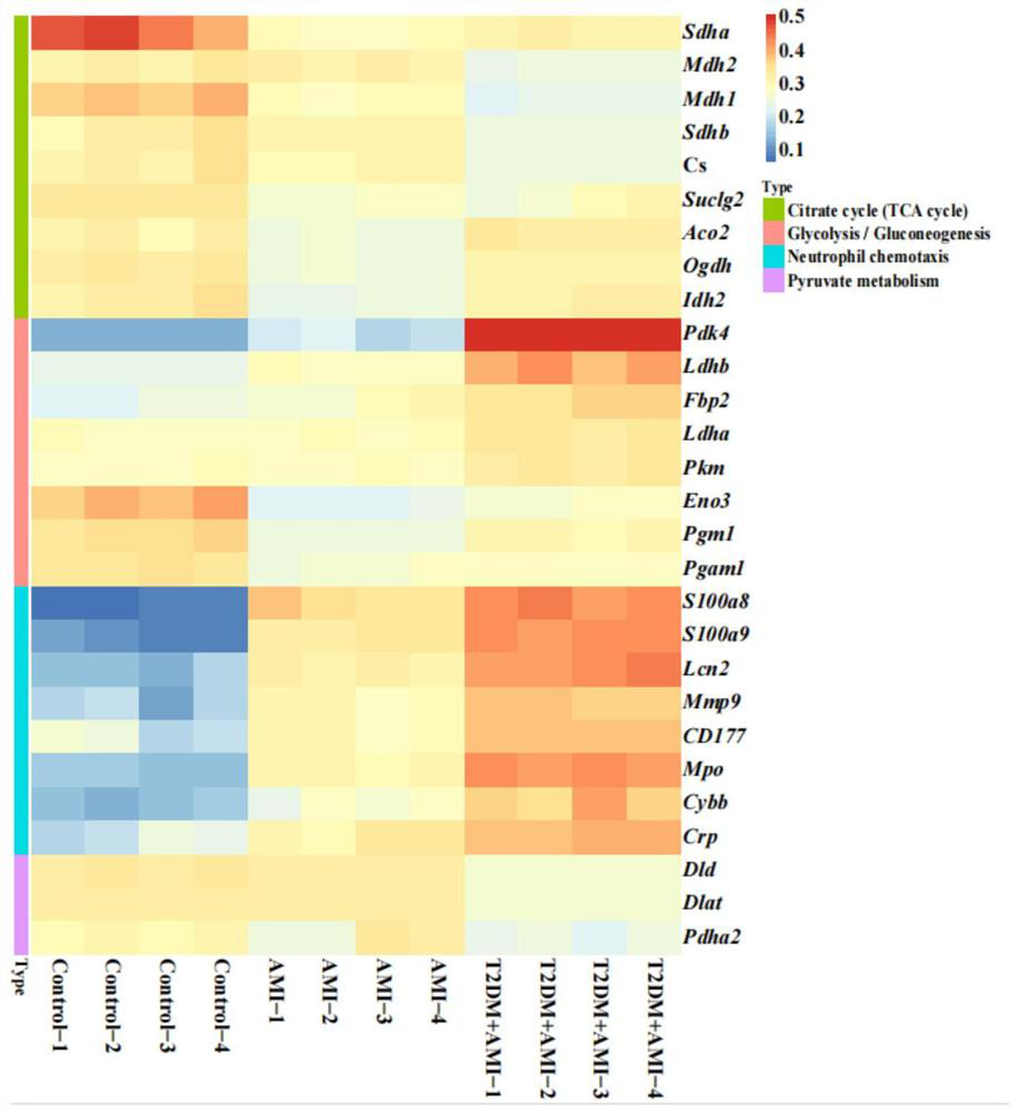 Application of CD177 as biomarker for detecting acute myocardial infarction