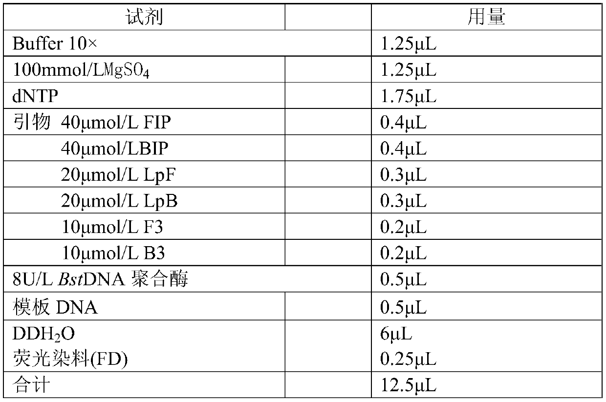 Plasmodium gene diagnosis primer