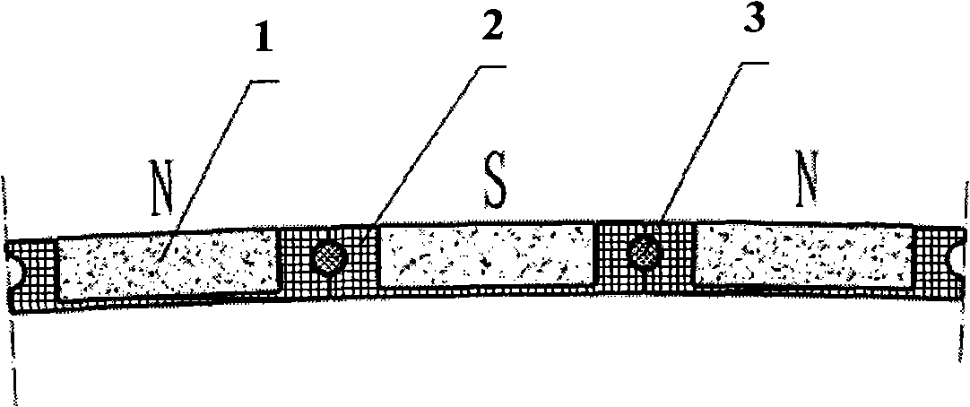 Permanent magnetism magnetic pole component for high-power permanent magnet motor