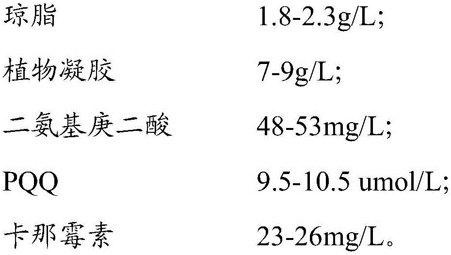 Ornamental plant cultivation medium, bottled ornamental plant and preparation method of bottled ornamental plant