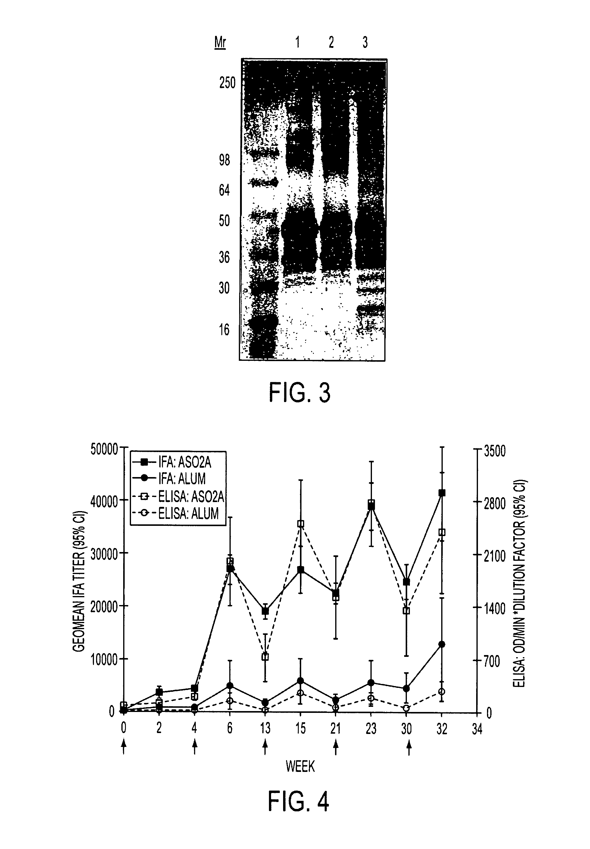 Recombinant P. falciparum merozoite protein-142 vaccine