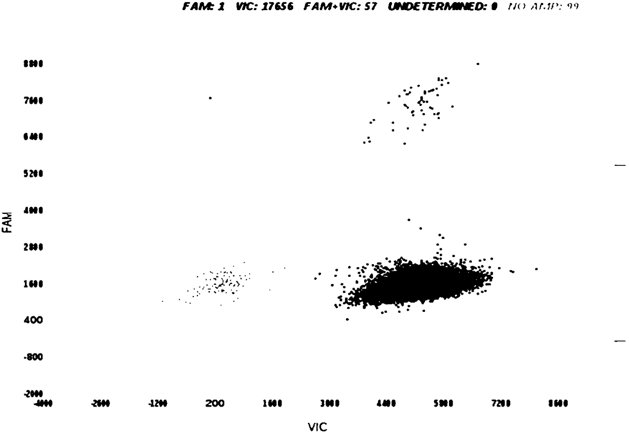 Double digital PCR (polymerase chain reaction) method of African struthio camelus derived ingredient quantitative detection