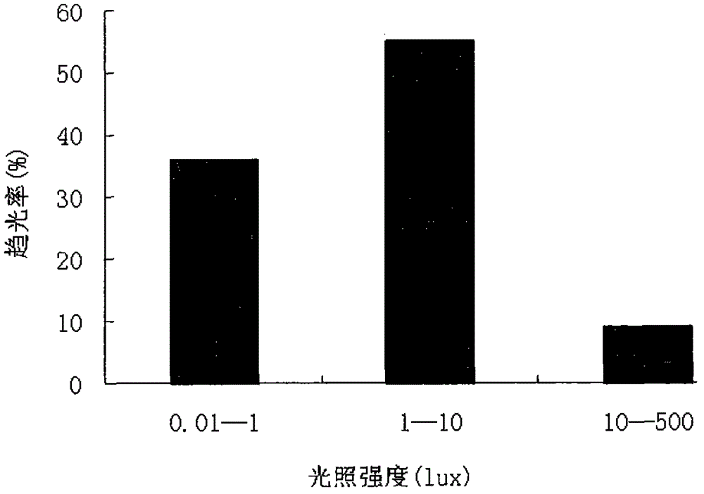 Aquatic animal attracting device and application thereof in seedling culturing of sepia esculenta