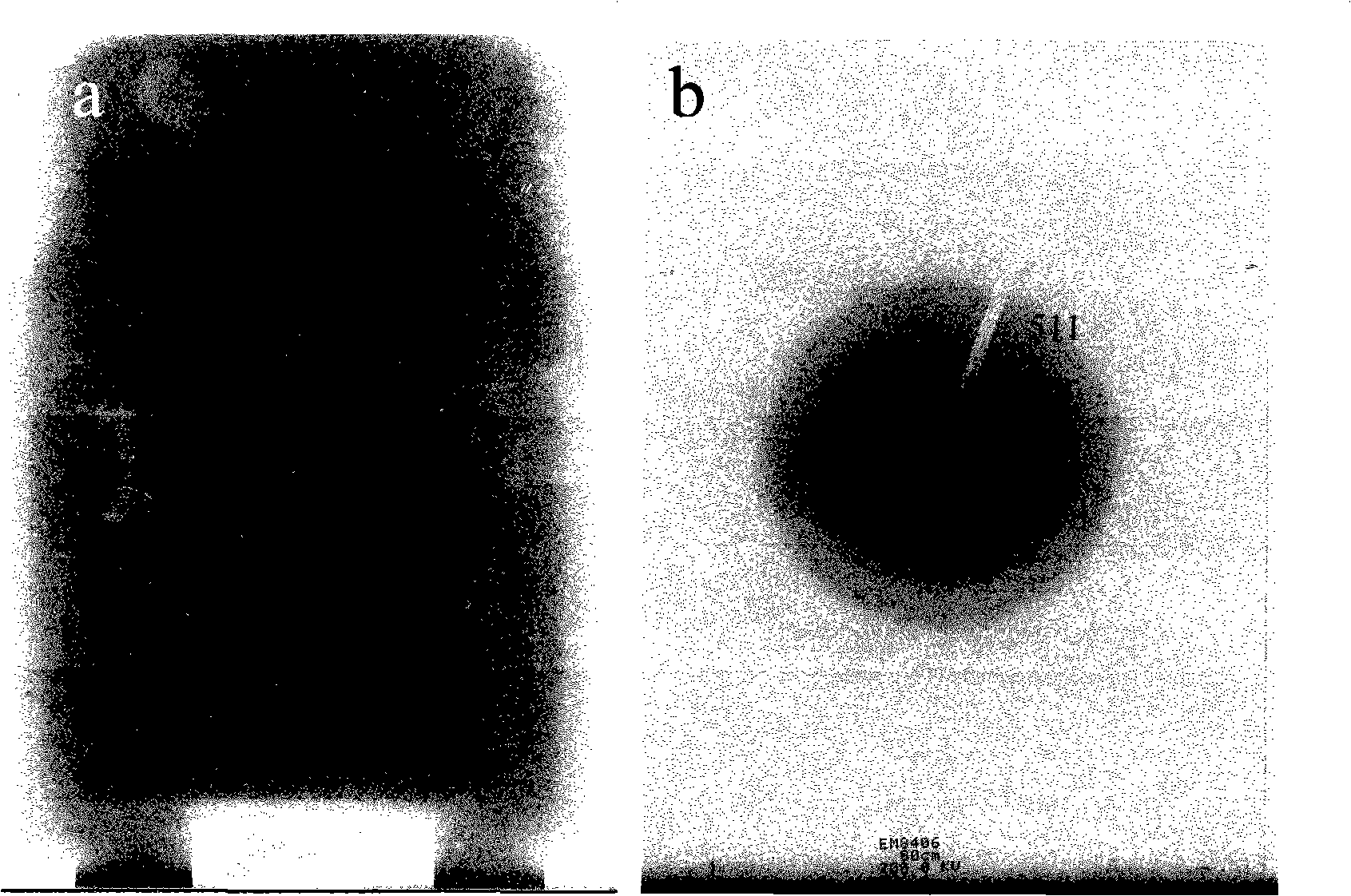 Lanthanum molybdate-based nanotube array and preparation thereof