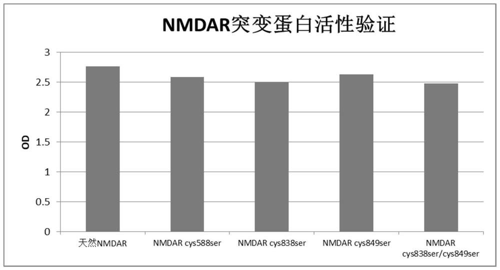 N-methyl-D-aspartic acid receptor recombinant antigen, preparation method thereof and kit containing recombinant antigen