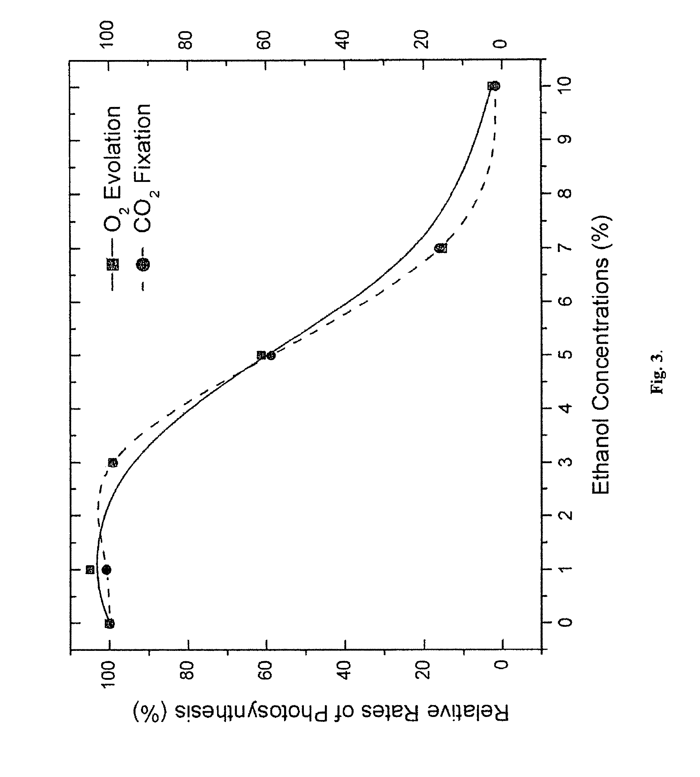 Designer organisms for photosynthetic production of ethanol from carbon dioxide and water