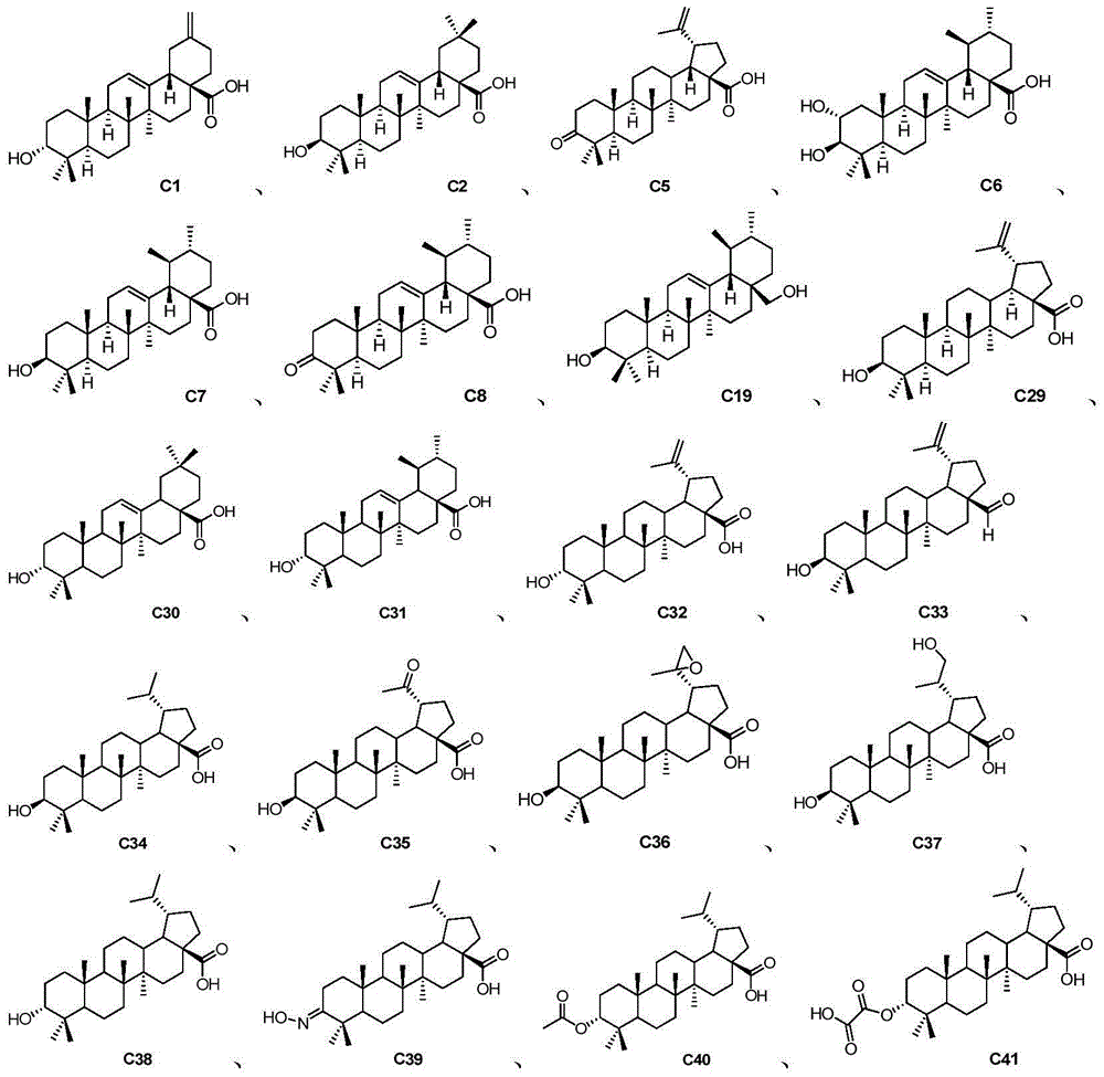 Pentacyclic triterpene compound and application of pentacyclic triterpene compound in preparation of medicine for treating Alzheimer's disease