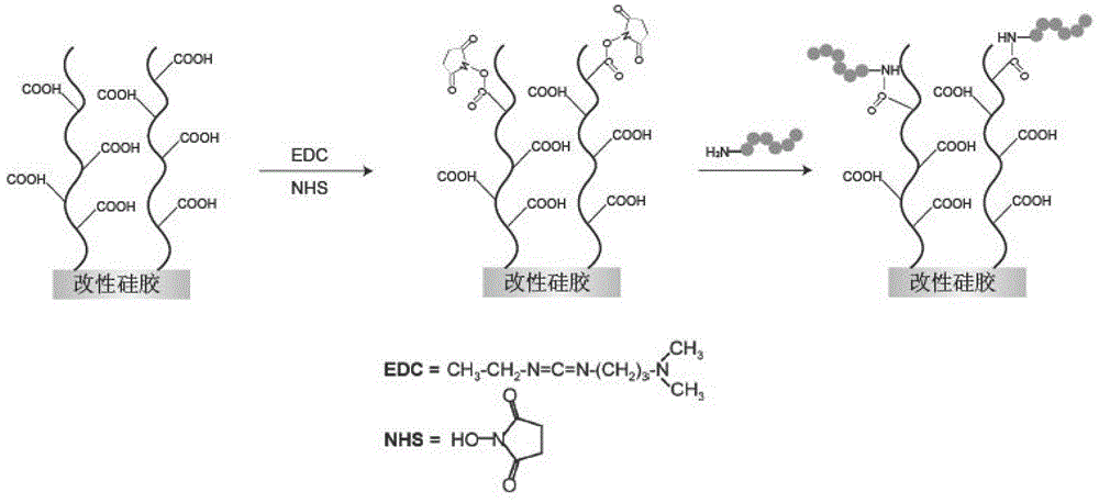 Polypeptide, detection device and detection kit comprising the polypeptide