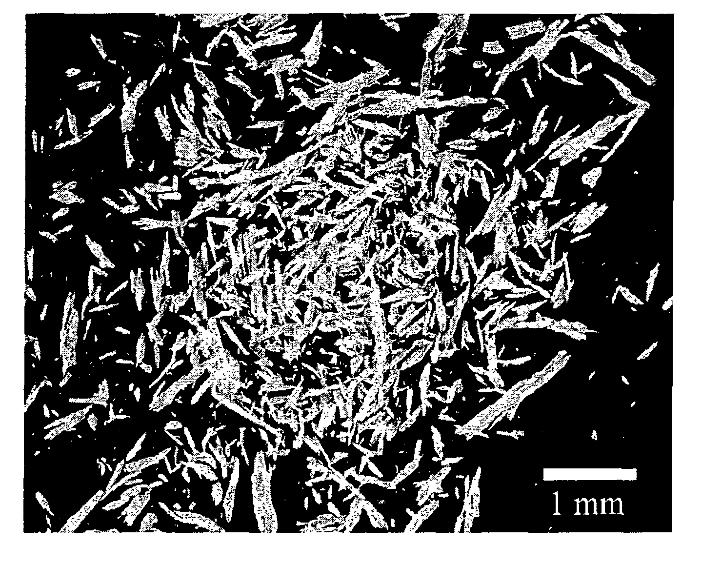 Cohesive demineralized bone compositions