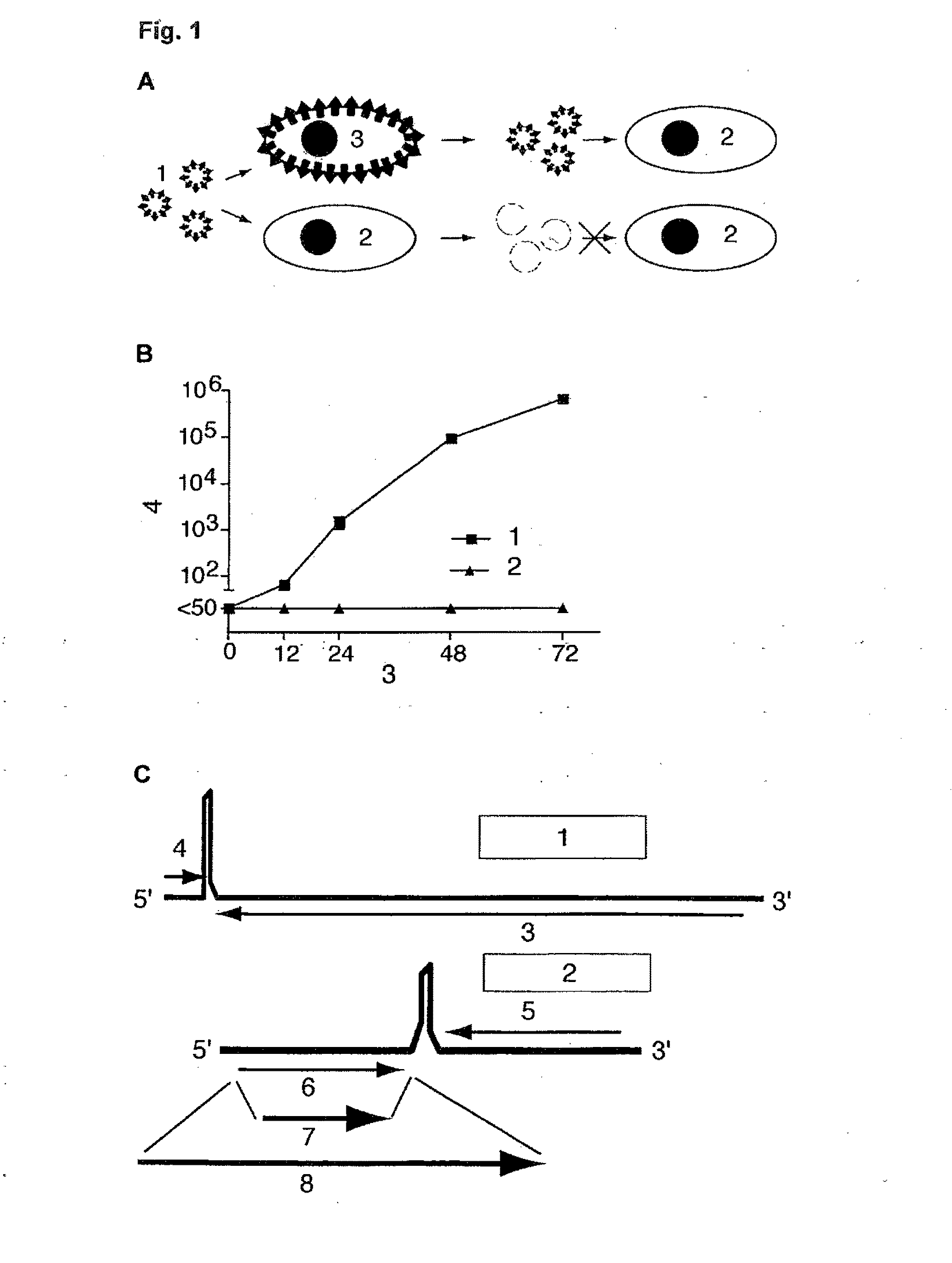 Replication-defective arenavirus vectors