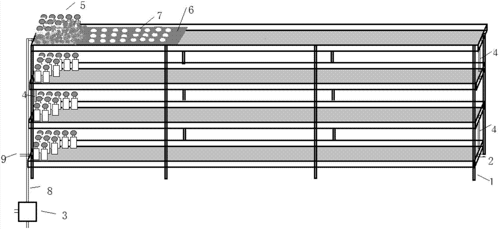 Method for cultivating edible mushrooms through flooding irrigation bed