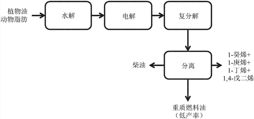 High productivity kolbe reaction process for transformation of fatty acids derived from plant oil and animal fat