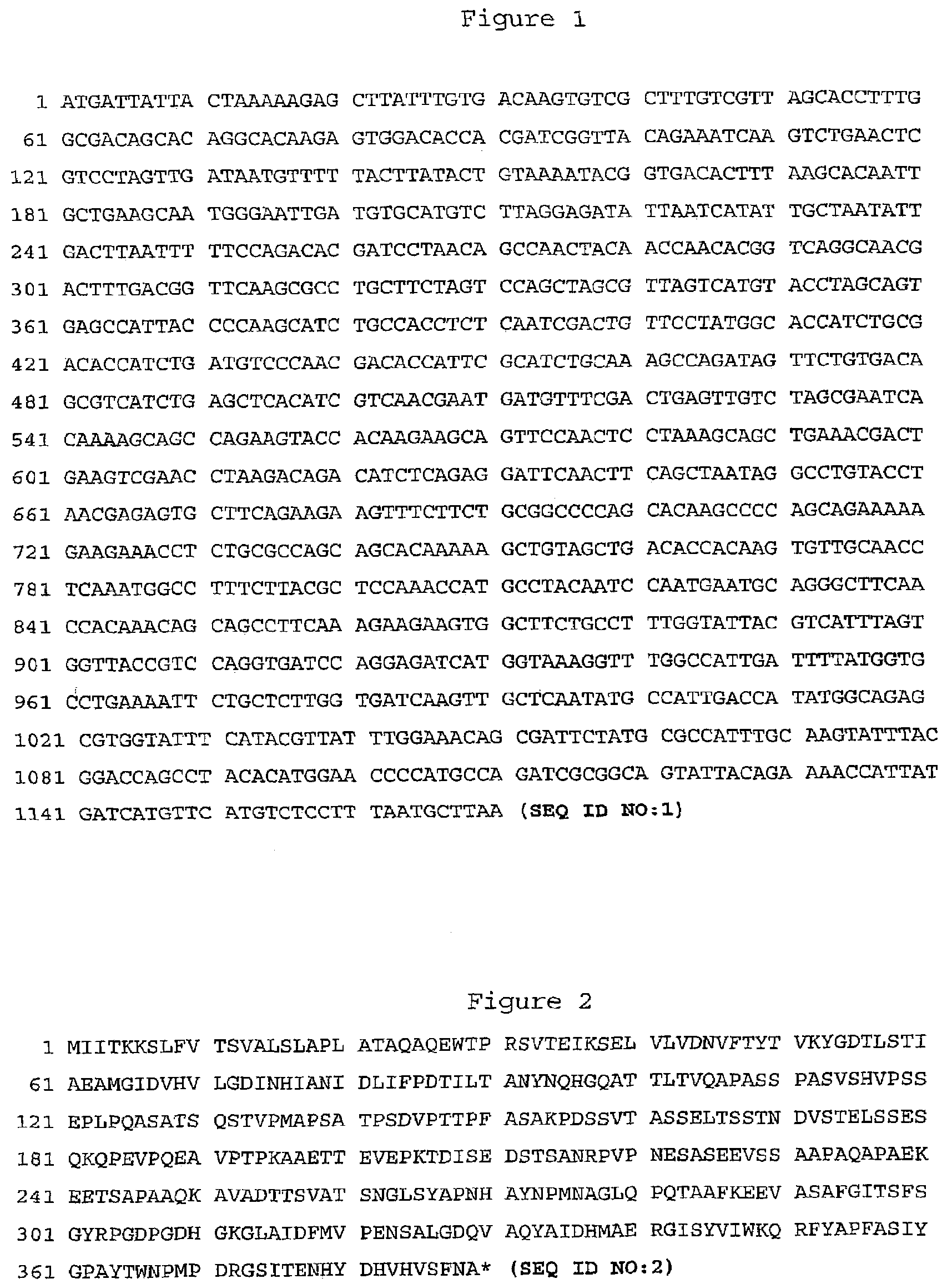 Streptococcus pyogenes antigens