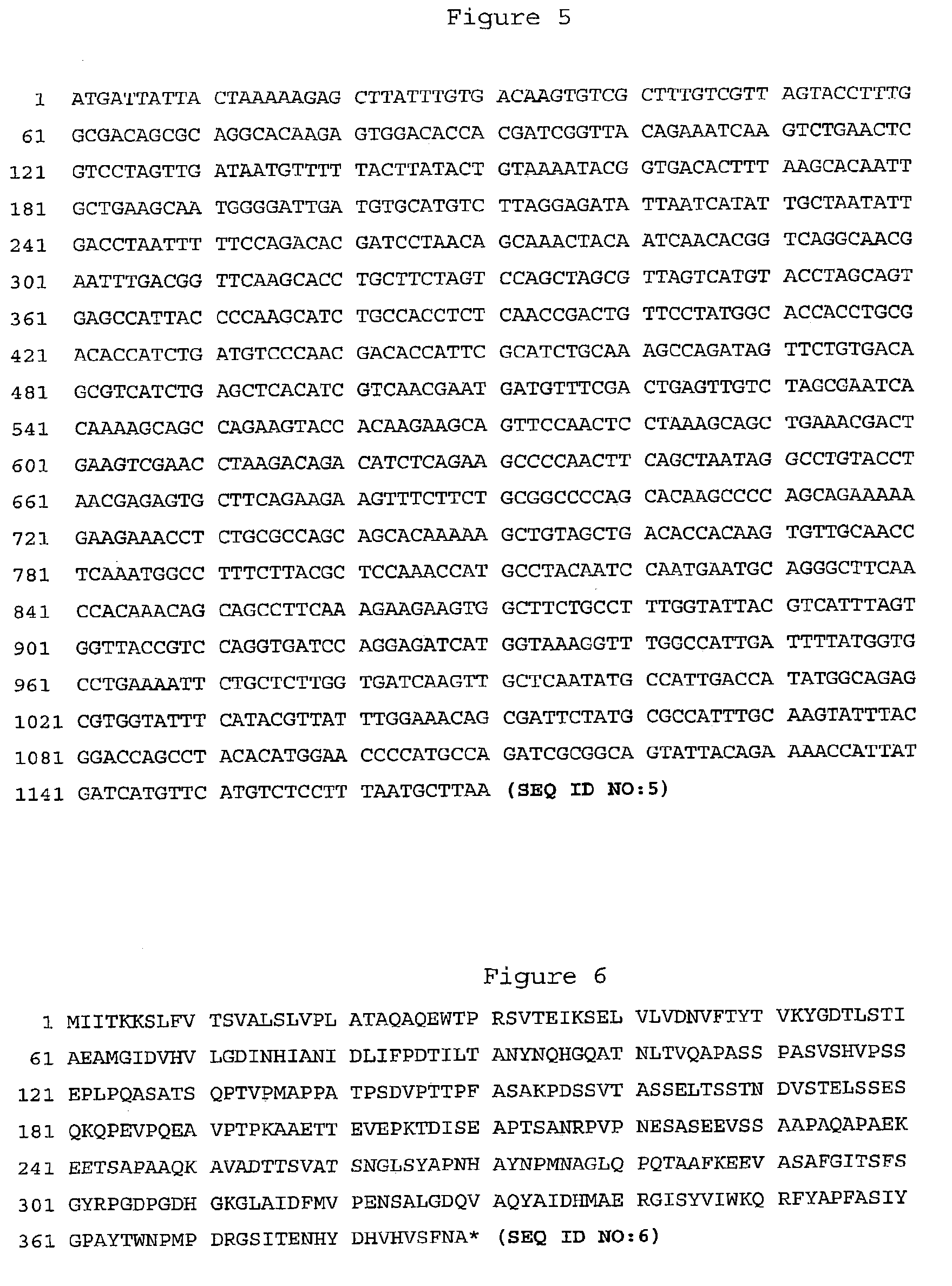 Streptococcus pyogenes antigens