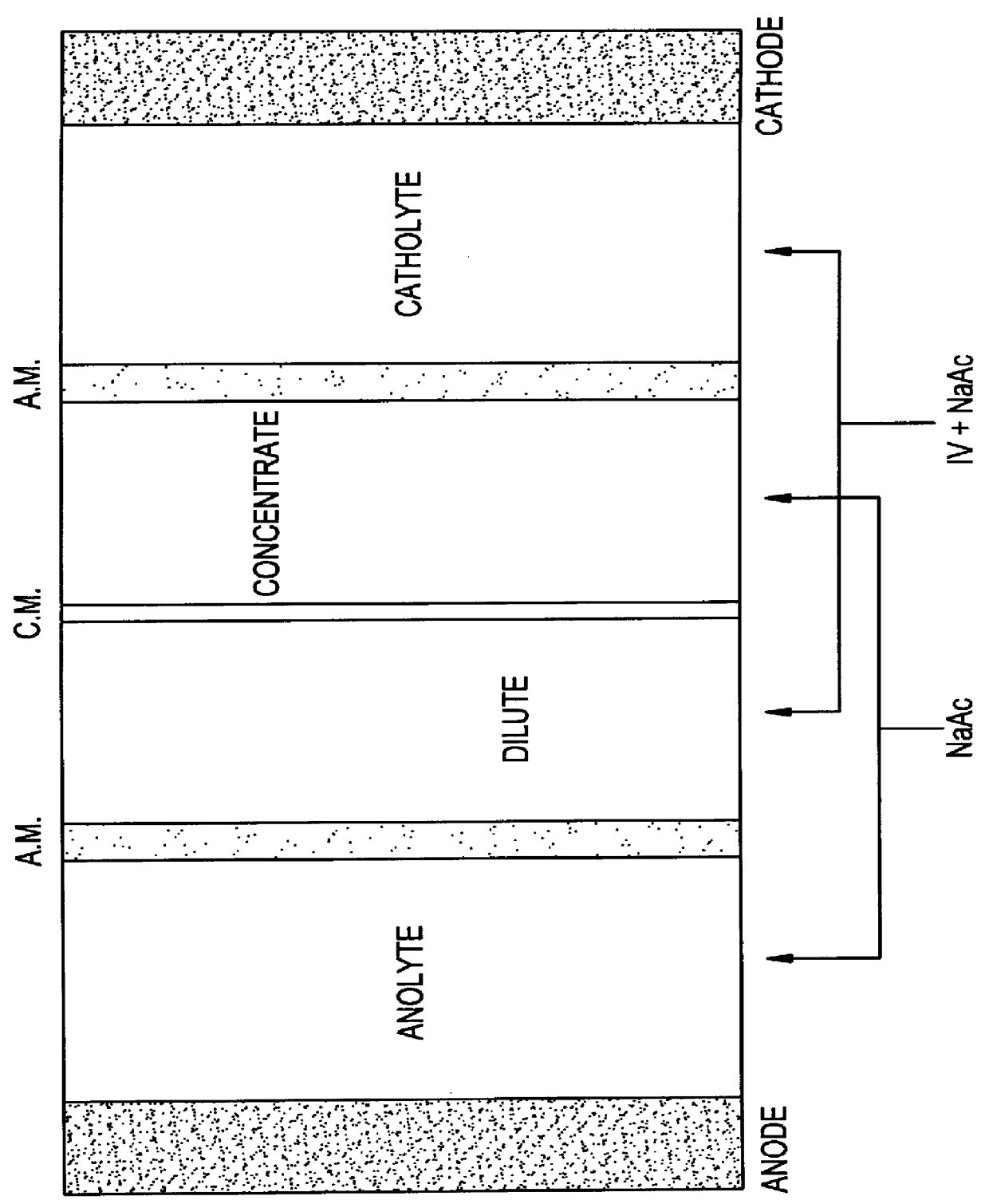 Process for the electrochemical synthesis of N-acetylcysteine from cystine