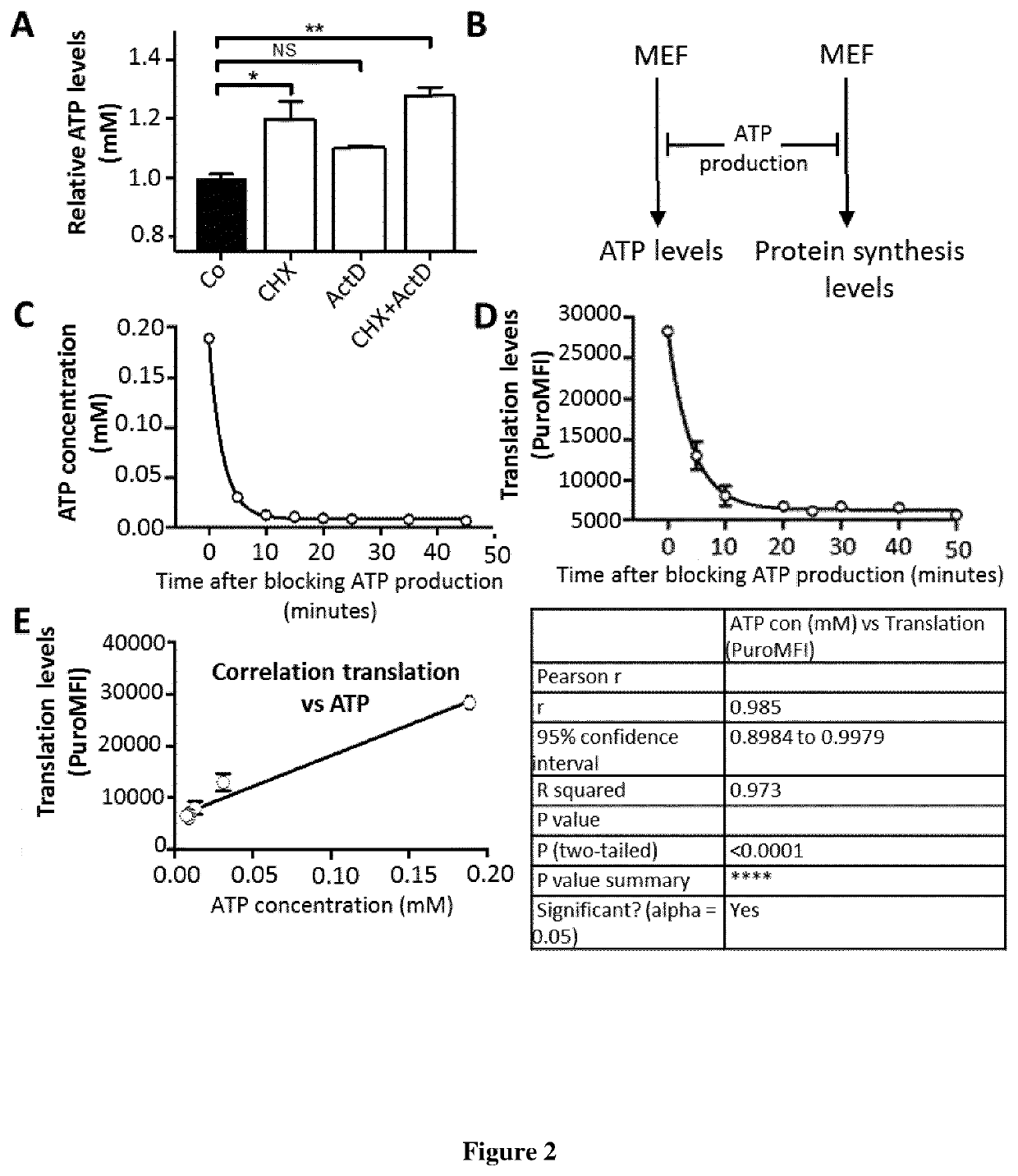 A method of profiling the energetic metabolism of a population of cells