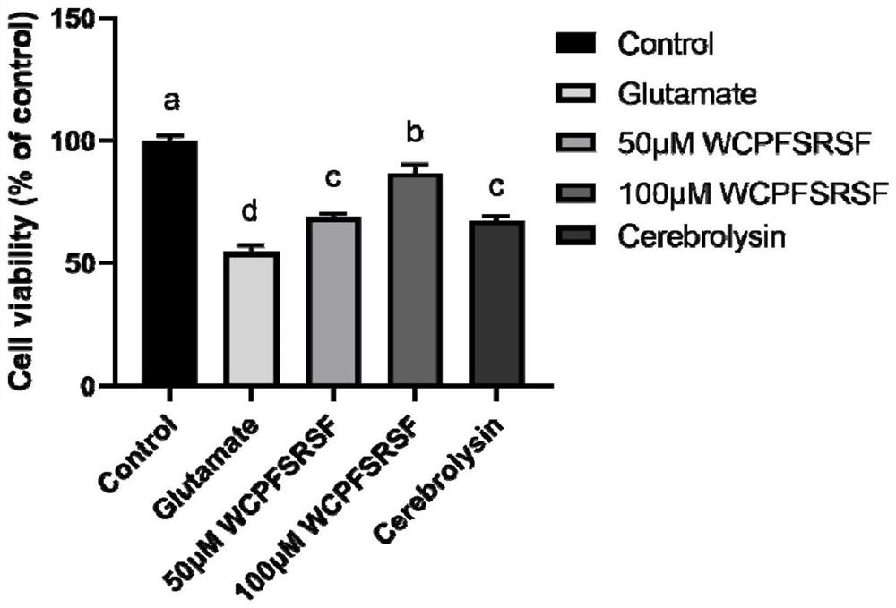 An octapeptide and its application in the preparation of medicines for improving memory