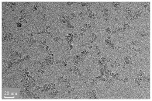 Water-soluble titanium dioxide and preparation method thereof