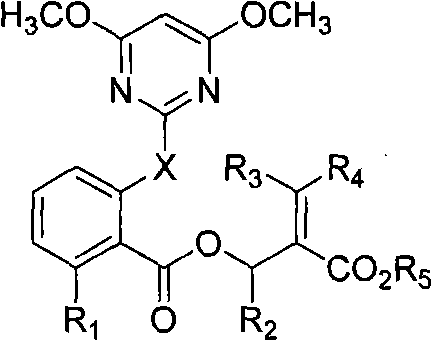 2-pyrimindinyloxy (pyrimindinylthio) benzoxy enoates compound and application thereof