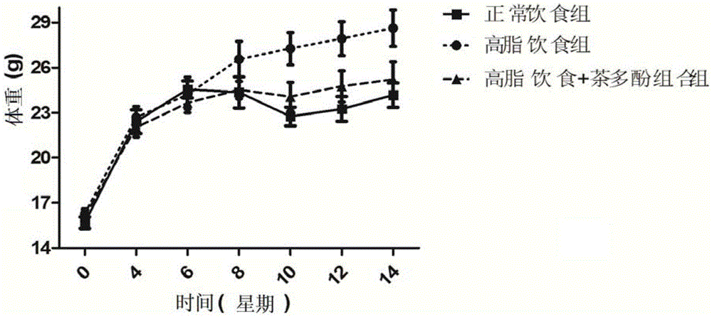 Tea polyphenol composition for controlling atherosclerosis