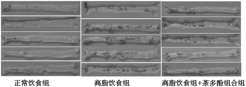 Tea polyphenol composition for controlling atherosclerosis