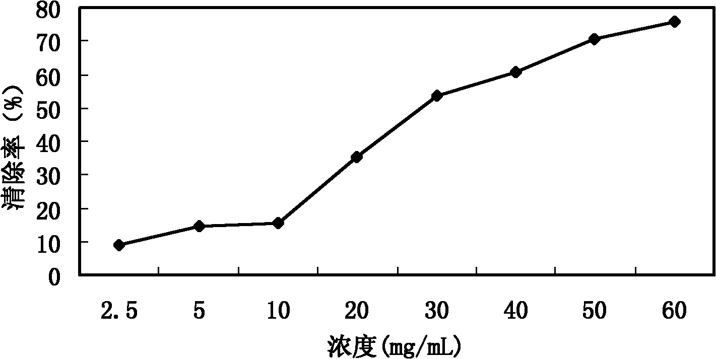 Preparation method of polysaccharide in pine cone from Pinus koraiensis