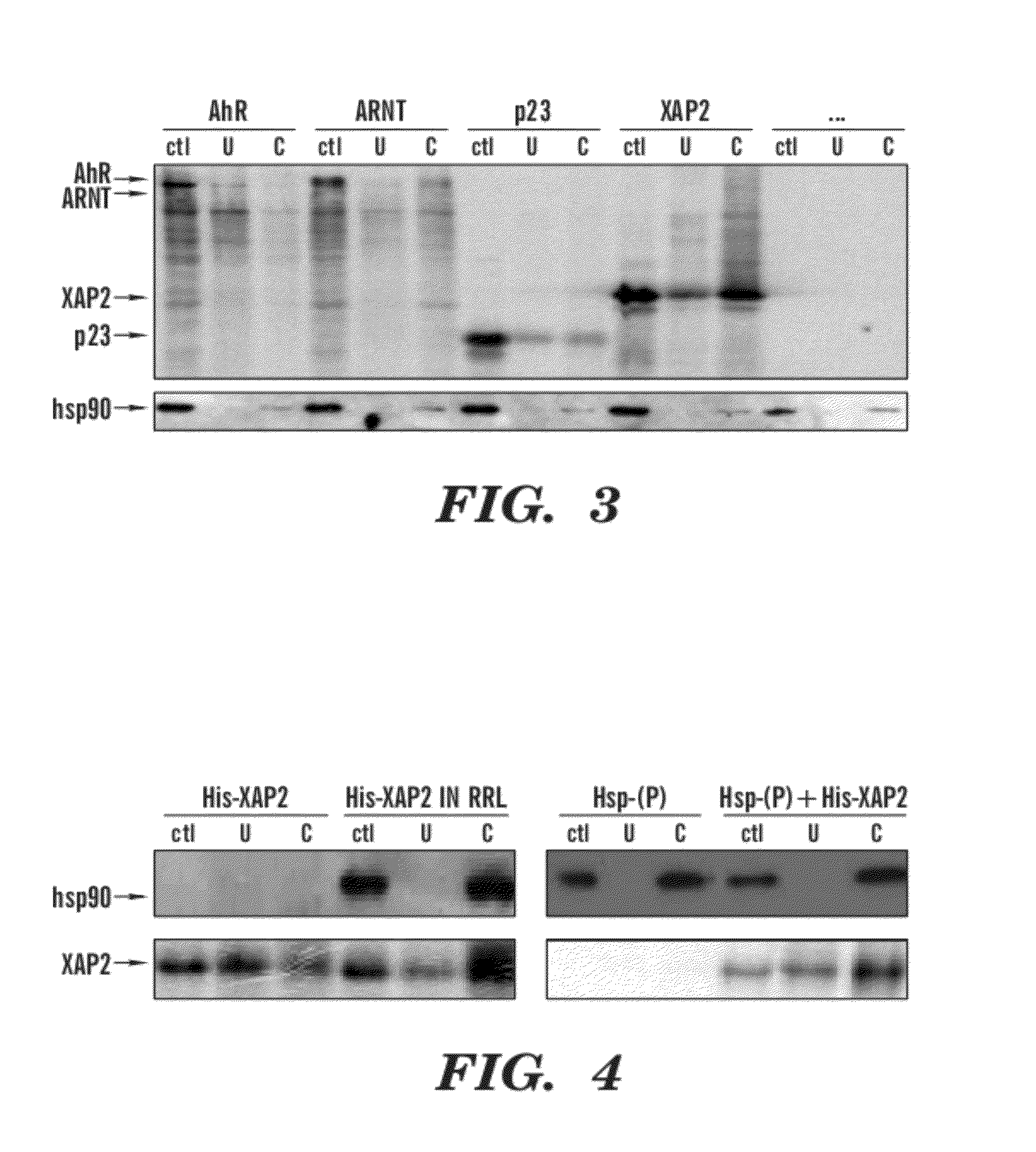 Methods of inhibiting the activity of hsp90 and/or aryl hydrocarbon receptor