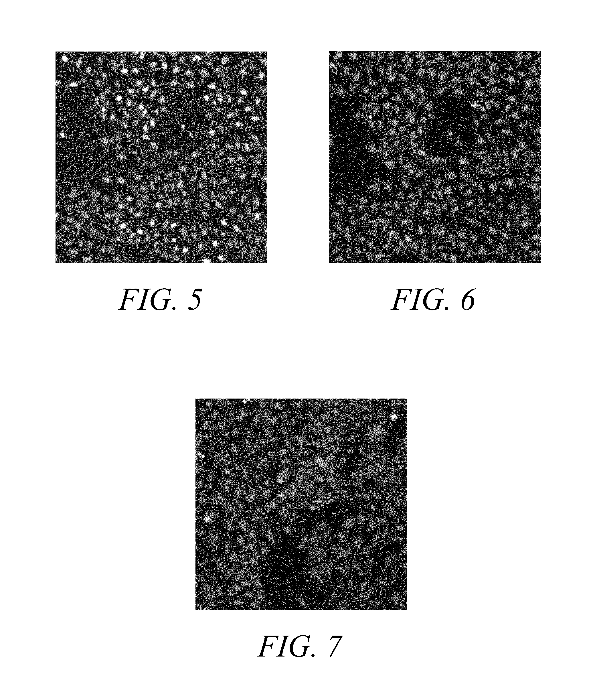 Anthraquinone based near IR emitting compounds and uses thereof