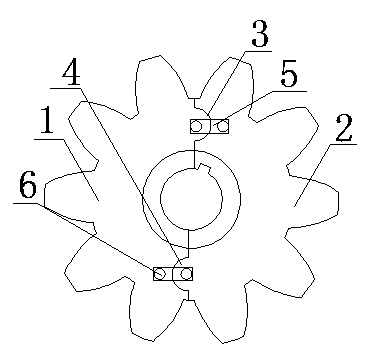 Split type gear