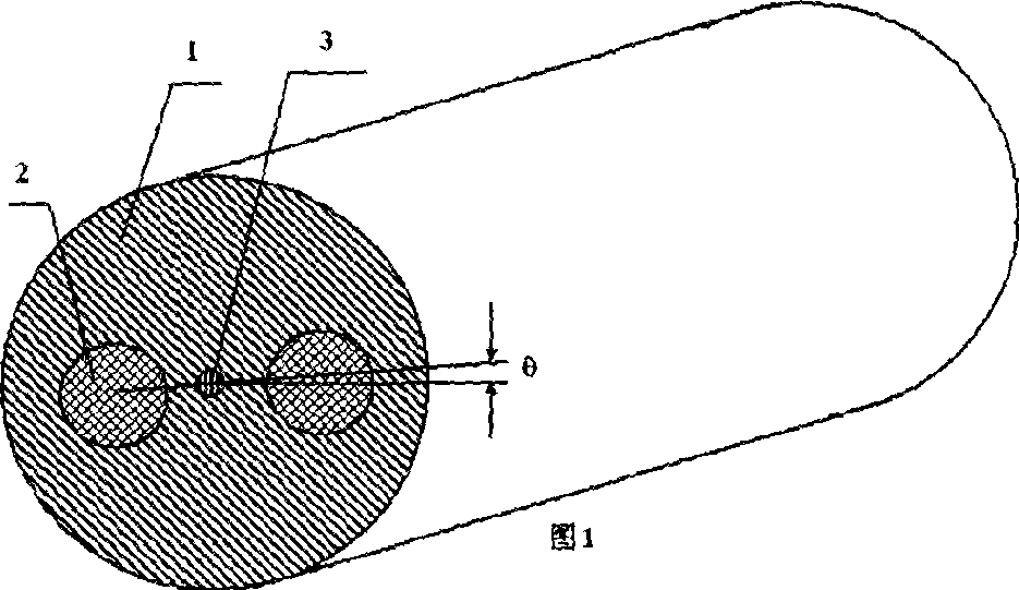 Large size combined optical fibre perform of polarization maintaining fiber and production method thereof