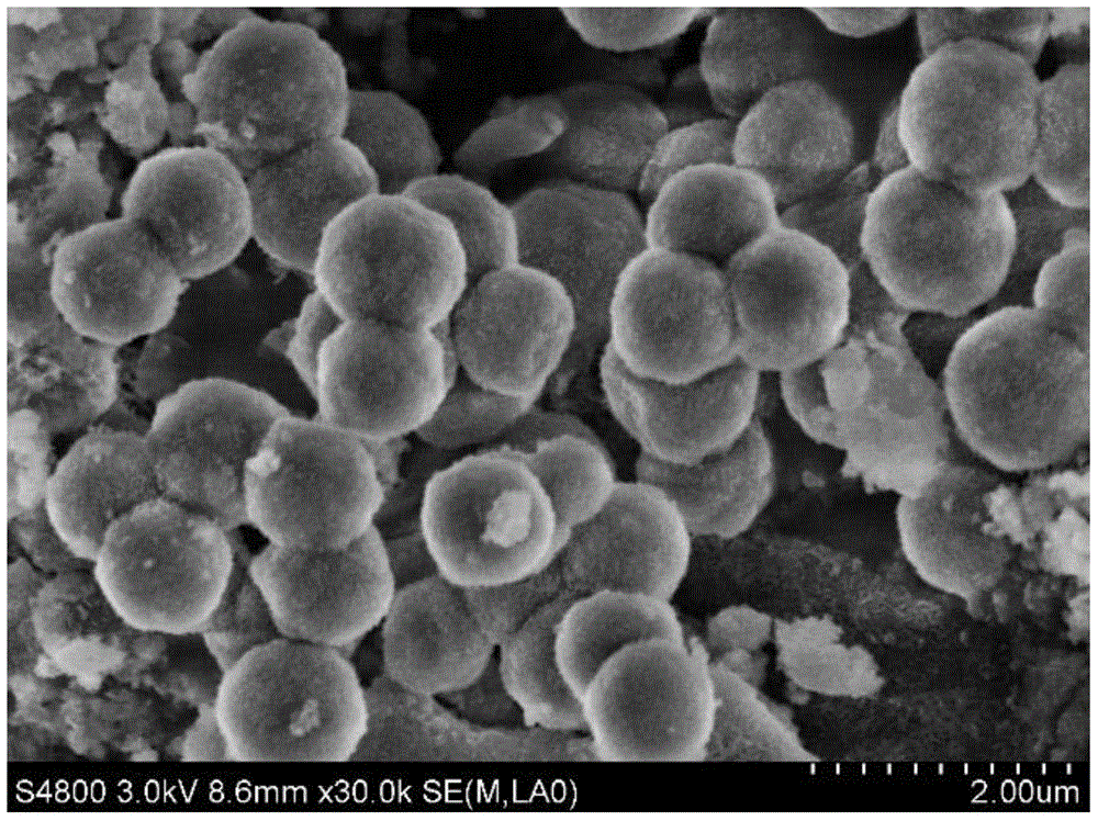 A kind of preparation method of mesoporous double-layer organosilicon sphere