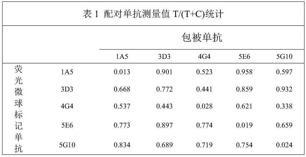 Preparation and application of myoglobin monoclonal antibody