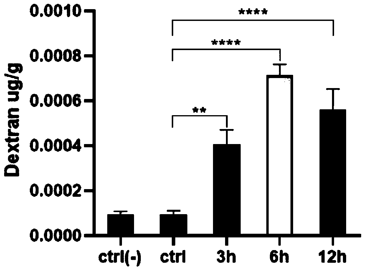 Application of mouse umbilical cord mesenchymal stem cells to protection of blood-brain barrier function from being damaged after skin is scaled