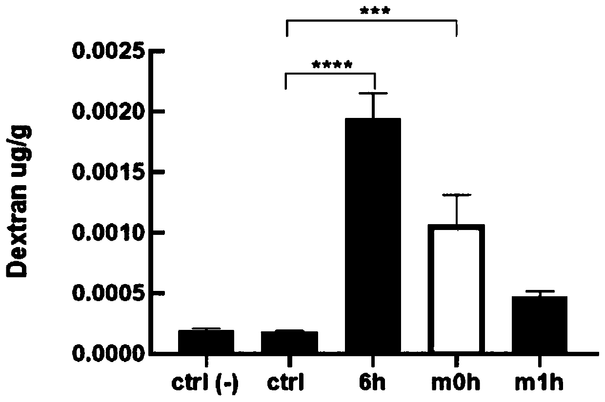 Application of mouse umbilical cord mesenchymal stem cells to protection of blood-brain barrier function from being damaged after skin is scaled