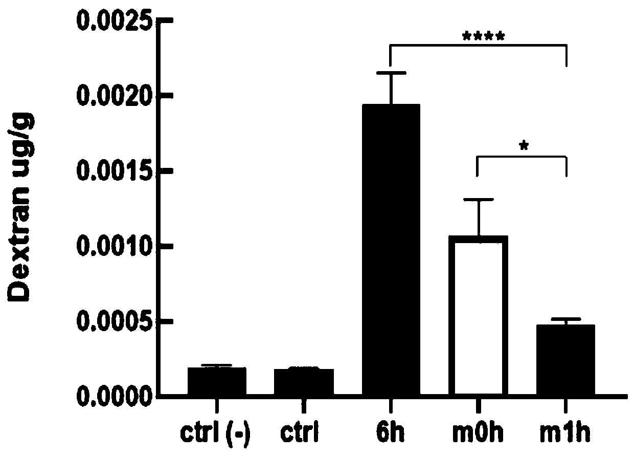 Application of mouse umbilical cord mesenchymal stem cells to protection of blood-brain barrier function from being damaged after skin is scaled