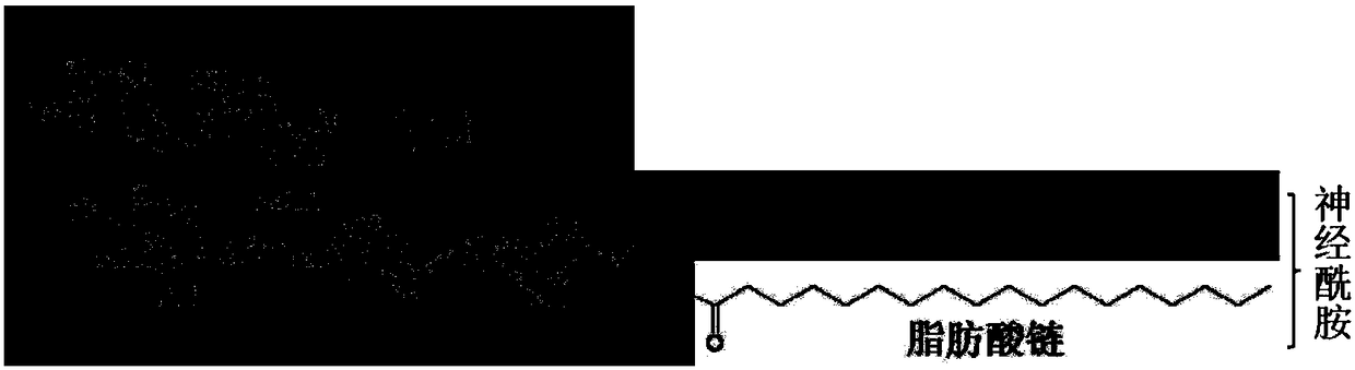 Preparation method and applications of ganglioside derivatives containing unsaturated fatty acid chains