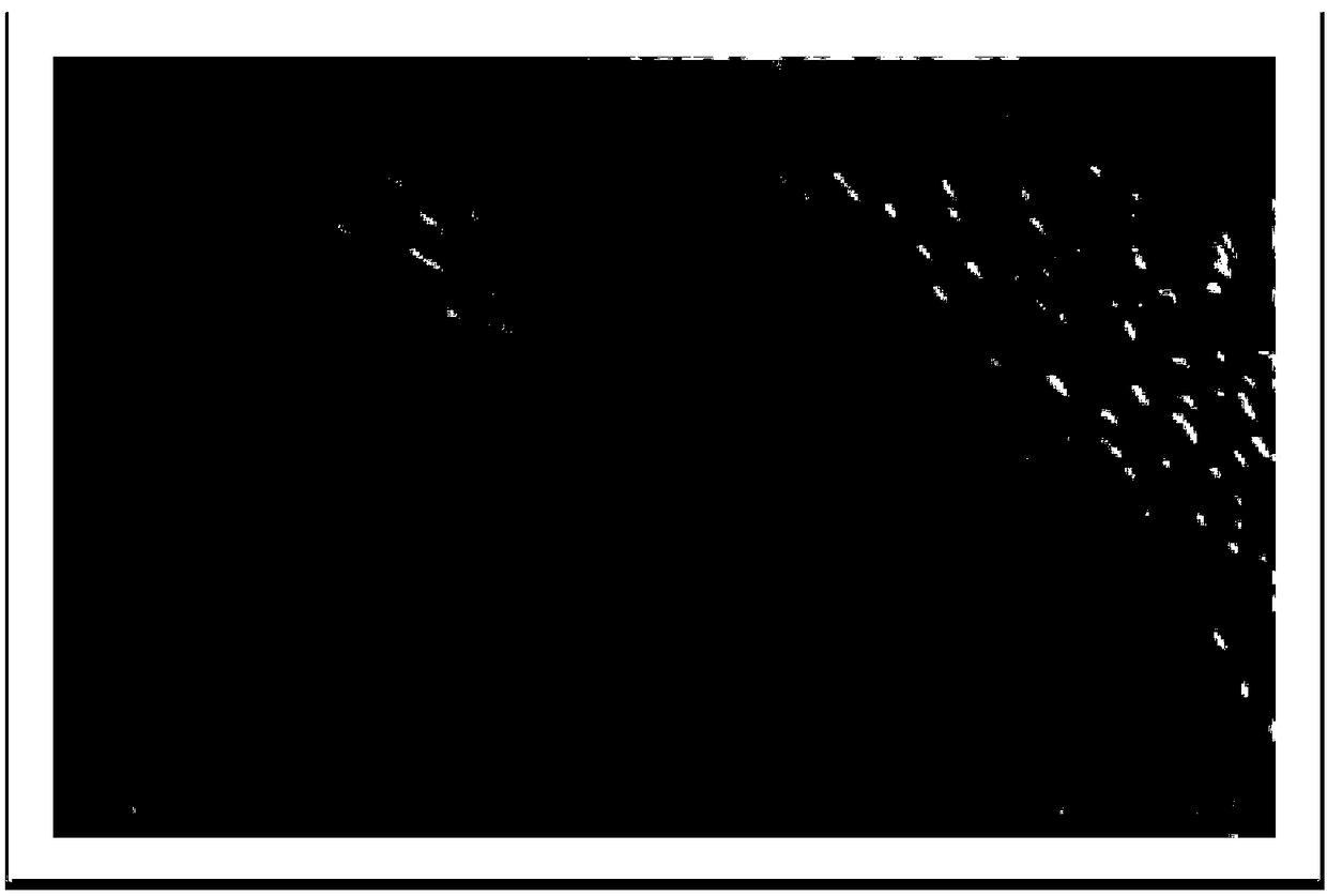 Low-ESR cathode of tantalum electrolytic capacitor and preparation method for cathode