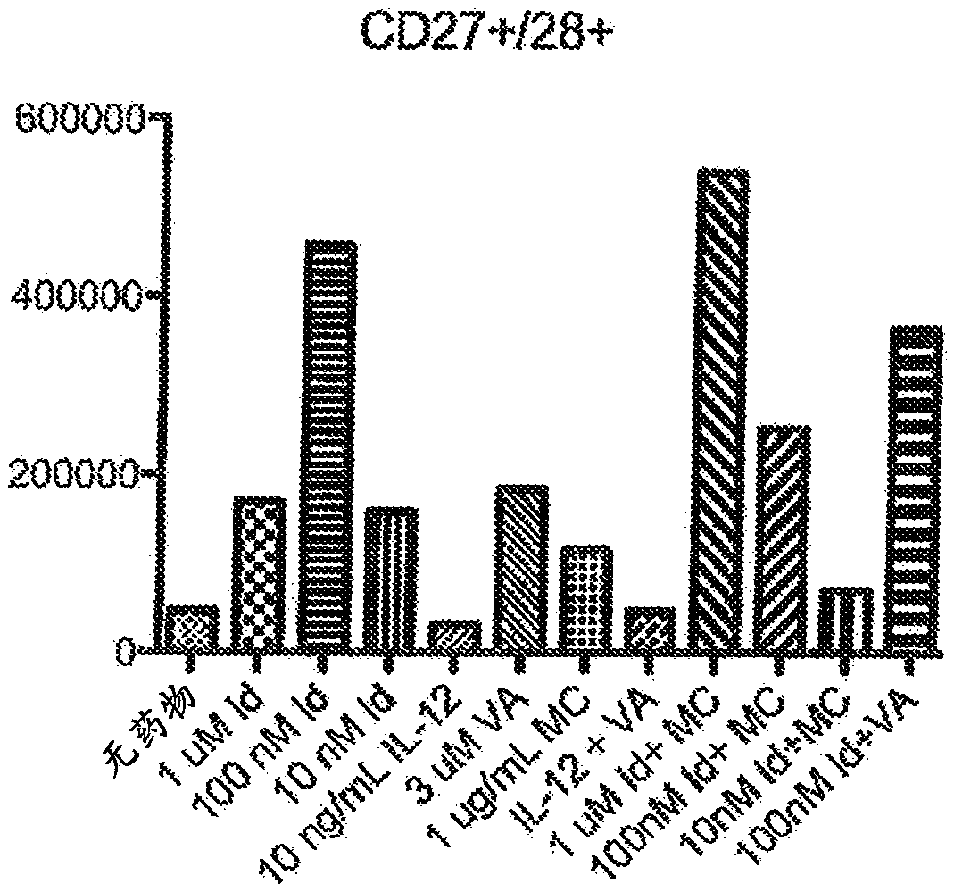 Methods of treating cancer and infectious diseases using cell based therapies