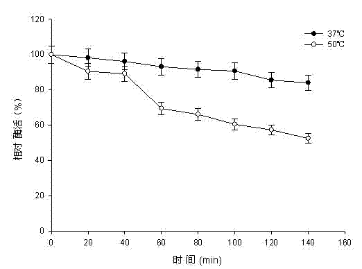 Pullulanase XWPu2 and gene thereof